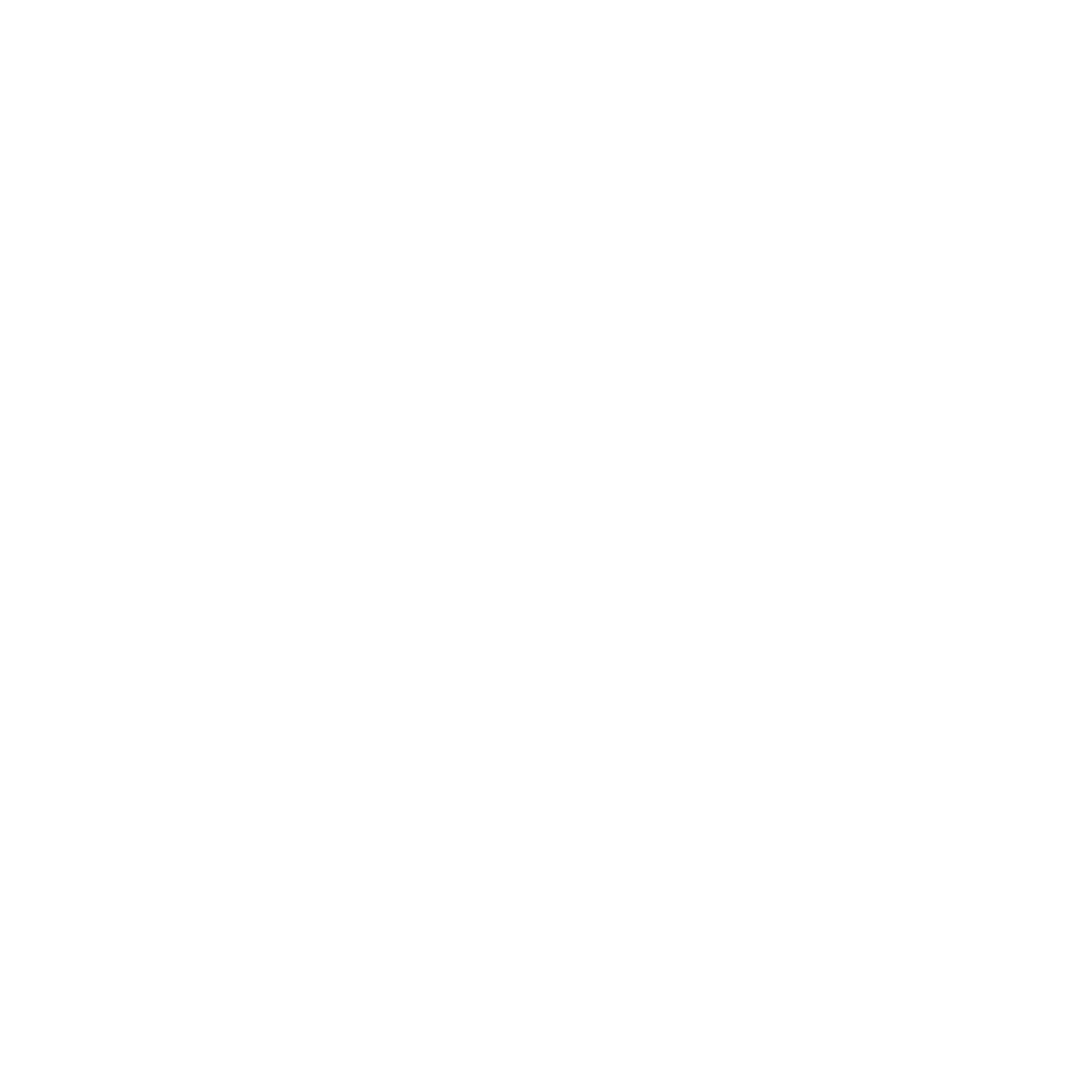 VIBE Tours